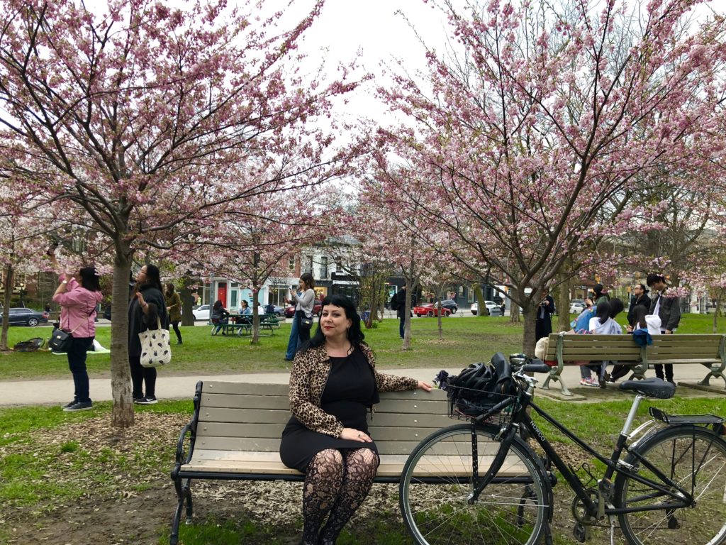 Sitting on a bench in Trinity Bellwoods park in front of cherry blossom trees.