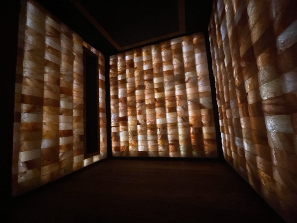 Inside the Himalayan salt Welpod at circle welness in Vancouver